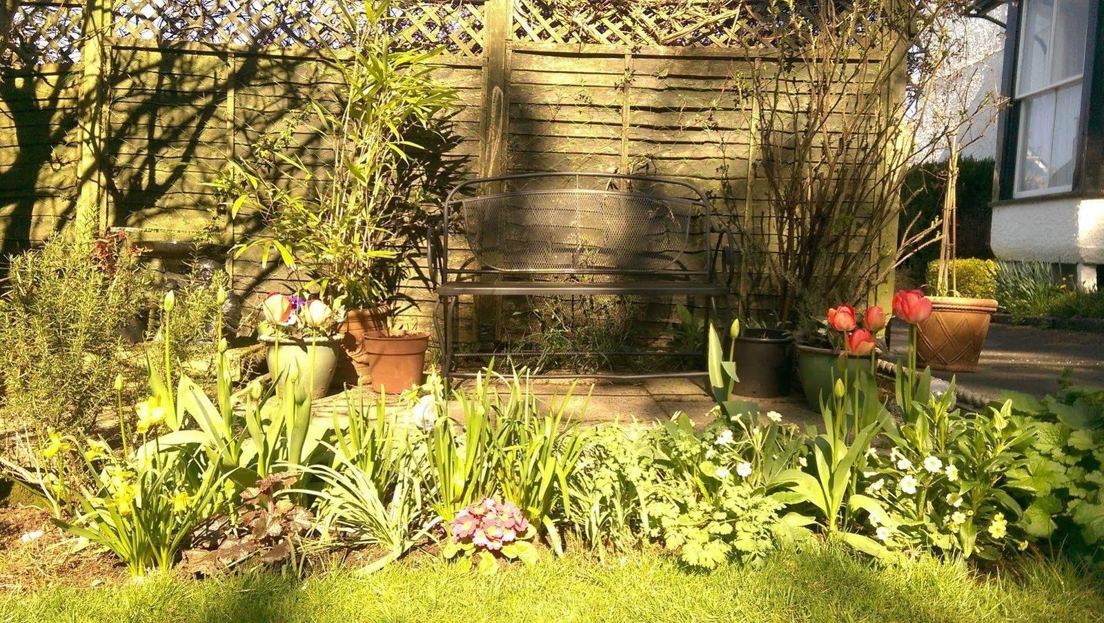 Garden bench with spring flowers