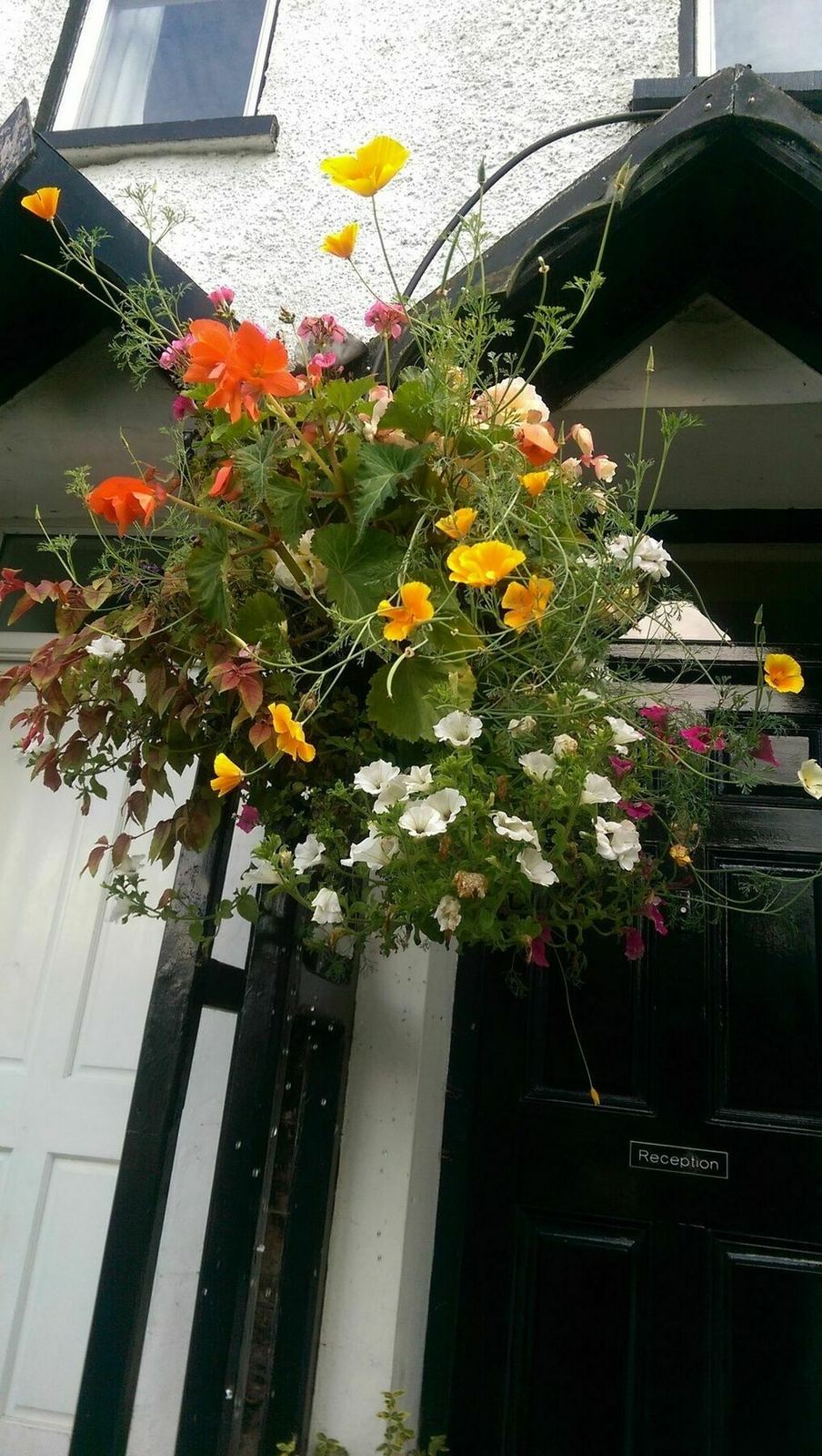 Reception door with hanging flower basket