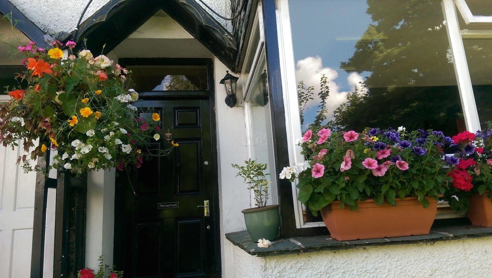 Reception door with petunia window box