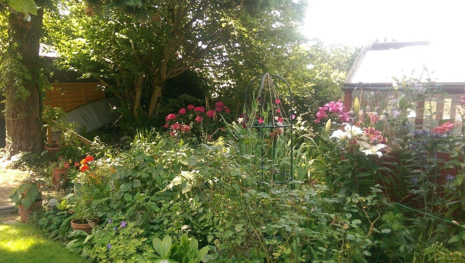 Lilies and summer house in the garden