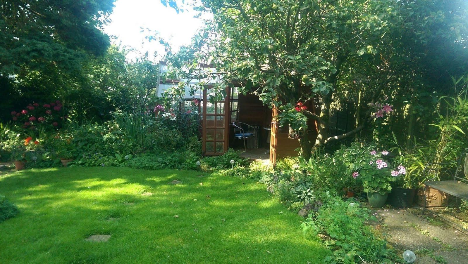 Garden with summer house